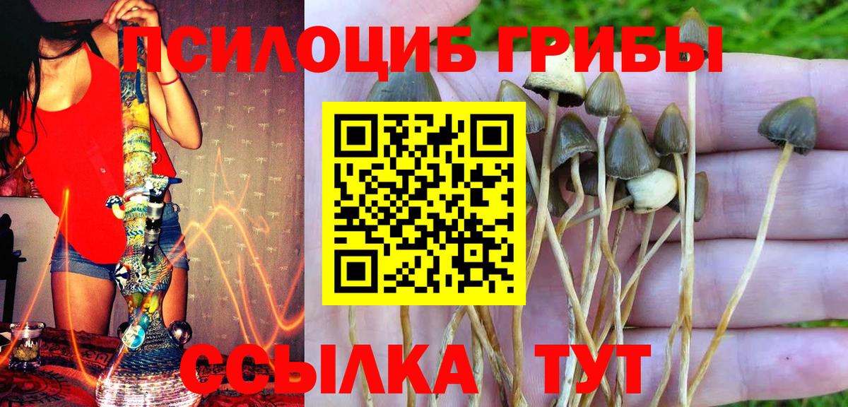 Ивантеевка  Псилоцибиновые грибы ЛСД  Псилоцибиновые грибы Magic Shrooms  Вход с VPN 
